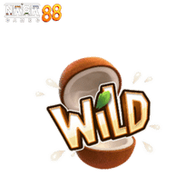 JUNGLE DELIGHT ทดลองเล่น